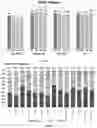 Fig. 02 - DIETARY SUPPLEMENT FORMULATIONS