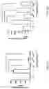 Fig. 03 - Lactobacillus composition for inhibiting gastritis induced by gastric helicobacter pylori and use thereof