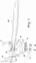 Fig. 08 - SHOE WITH AN ENERGIZED QUARTER PORTION