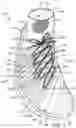 Fig. 02 - Article of footwear upper incorporating a textile component with tensile elements