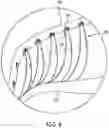 Fig. 07 - Article of footwear with tubular structures