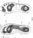 Fig. 07 - Dynamic fit footwear