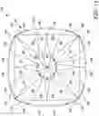 Fig. 14 - GEMSTONE HAVING HEARTS AND ARROWS CUSHION-CUT