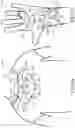 Fig. 09 - String-type jewelry having snap-fit segments