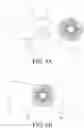 Fig. 06 - HAIR HOLDER