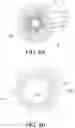 Fig. 08 - HAIR HOLDER
