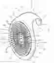 Fig. 01 - Cosmetics brush cleaning device