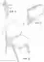 Fig. 07 - Stackable chair