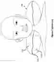 Fig. 04 - Inflatable pillow