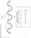 Fig. 03 - INTERLOCKING RING CURTAIN LINER AND CURTAIN SYSTEMS THEREOF