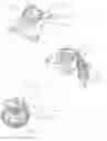 Fig. 09 - Coffee grinder apparatus