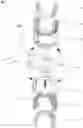 Fig. 01 - Apparatus for dental irrigation