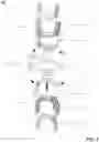 Fig. 02 - Apparatus for dental irrigation