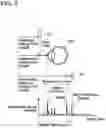 Fig. 04 - Ophthalmic apparatus