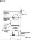Fig. 08 - Ophthalmic apparatus