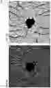 Fig. 06 - Systems, methods, and devices for optical coherence tomography multiple enface angiography averaging