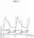 Fig. 06 - Apparatus and method for measuring bio-signal