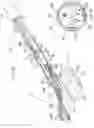 Fig. 09 - Catheter with stacked spine electrode assembly