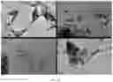 Fig. 19 - Low cost diabetes breath analyzer based on nanostructured KWOmaterial
