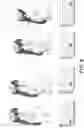 Fig. 12 - Smart strap and method for defining human posture