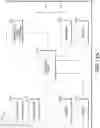 Fig. 23 - ANALYTE SENSOR