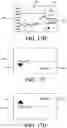 Fig. 29 - ANALYTE SENSOR