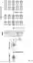 Fig. 08 - Method and a system for analyzing neuropharmacology of a drug
