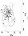 Fig. 19 - Method and a system for analyzing neuropharmacology of a drug
