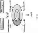 Fig. 23 - Method and a system for analyzing neuropharmacology of a drug