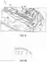 Fig. 19 - CONFIRMATION OF DELIVERY OF MEDICATION TO A HOST