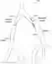 Fig. 01 - Creating a vascular tree model