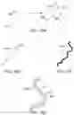 Fig. 20 - Creating a vascular tree model