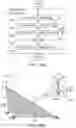 Fig. 22 - Creating a vascular tree model