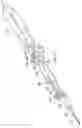 Fig. 10 - PLIANT BIOPSY NEEDLE SYSTEM