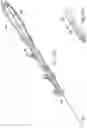 Fig. 11 - PLIANT BIOPSY NEEDLE SYSTEM