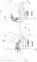 Fig. 12 - Apparatus and method for biopsy and therapy