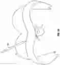 Fig. 22 - Minimally open interbody access retraction device and surgical method