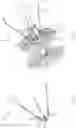 Fig. 04 - Transcatheter anchoring assembly for a mitral valve, a mitral valve, and related methods