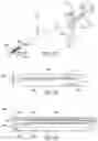 Fig. 34 - Surgical instrument with detection sensors