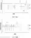 Fig. 08 - Abdominal closure method and device for ventral hernia