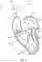 Fig. 02 - Gripper pusher mechanism for tissue apposition systems
