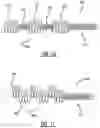 Fig. 07 - EMBOLIZATION COIL WITH END COIL INTEGRATED WITHIN MAIN COIL