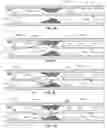 Fig. 03 - Atherectomy devices and methods