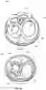 Fig. 25 - Sealing multiple surgical instruments