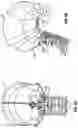 Fig. 03 - Occipital plate systems