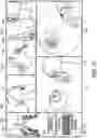 Fig. 16 - Apparatuses and methods for registering a real-time image feed from an imaging device to a steerable catheter