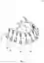 Fig. 09 - Teeth repositioning systems and methods