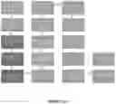 Fig. 08 - Dental framework and prosthesis