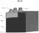 Fig. 30 - Dental framework and prosthesis