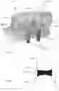 Fig. 06 - Modeling and manufacturing of dentures